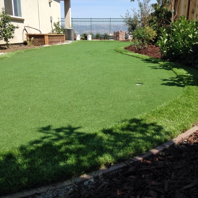 Artificial Grass Installation Las Flores, California Backyard Playground, Backyard Makeover