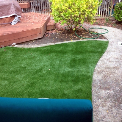 Artificial Grass Installation Oxnard Shores, California Roof Top, Small Backyard Ideas