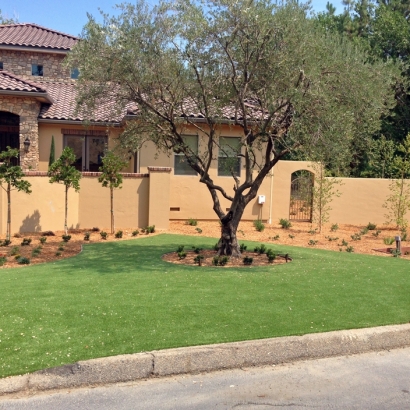 Artificial Grass Las Flores, California Landscape Photos, Small Front Yard Landscaping