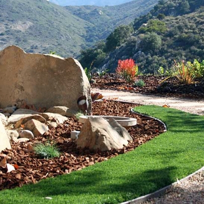 Artificial Grass Mission Canyon, California Home And Garden, Front Yard Ideas