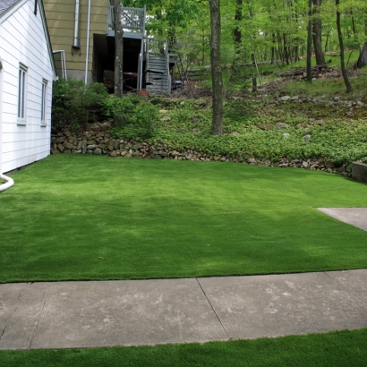 Artificial Grass Oak Hills, California Gardeners, Front Yard Landscaping