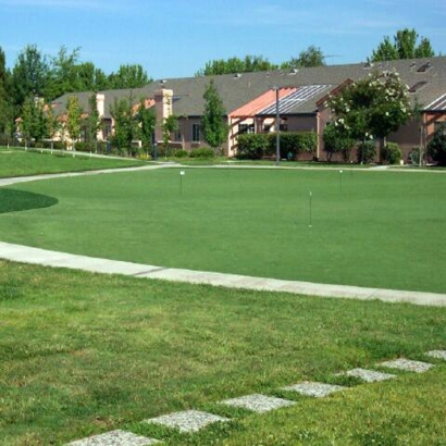 Artificial Grass Sunset Beach, California Lawn And Garden, Commercial Landscape