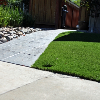 Artificial Grass Villa Park, California Backyard Playground, Front Yard Landscape Ideas