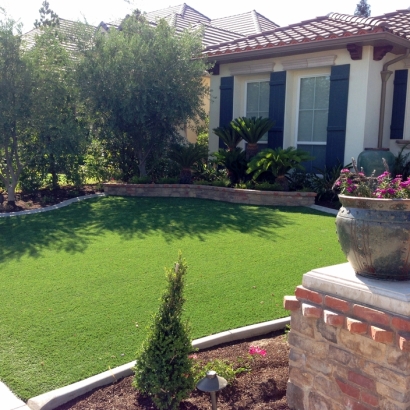 Artificial Lawn Altadena, California Design Ideas, Front Yard Design