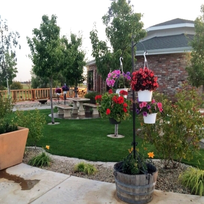 Artificial Lawn Belvedere, California Landscape Design, Commercial Landscape