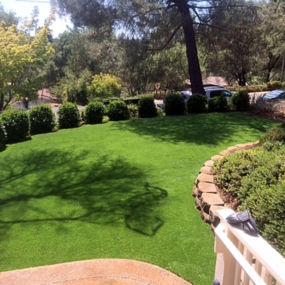 Artificial Lawn Mira Loma, California Lawn And Landscape, Backyard Landscaping