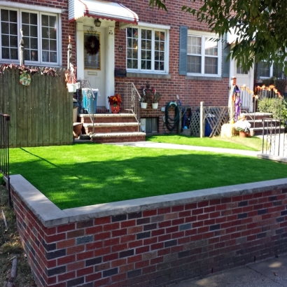 Artificial Turf Cost Homeland, California Landscaping Business, Front Yard Landscape Ideas