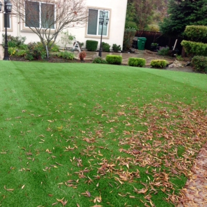 Artificial Turf Installation Rialto, California Lawn And Garden, Backyard Ideas