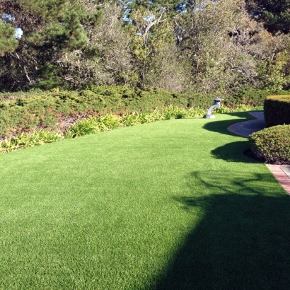 Artificial Turf Moorpark, California Landscape Ideas, Front Yard Landscape Ideas