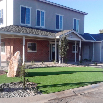 Artificial Turf West Athens, California Rooftop, Front Yard Ideas