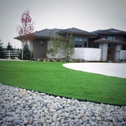 Best Artificial Grass La Mesa, California Landscaping Business, Front Yard Design