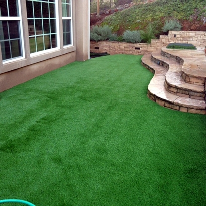 Fake Grass Alondra Park, California Landscaping Business, Backyard Design