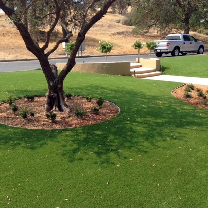 Fake Grass Carpet Boron, California Landscaping, Landscaping Ideas For Front Yard