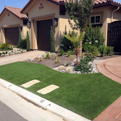 Fake Grass Carpet North Hollywood, California Landscaping, Small Front Yard Landscaping