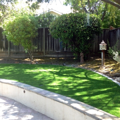 Fake Grass Carpet Pomona, California Landscape Rock, Commercial Landscape