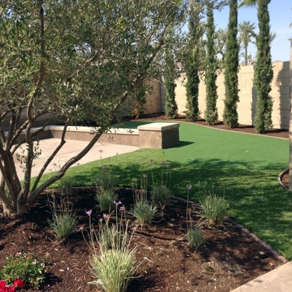 Fake Grass Citrus, California Lawn And Landscape, Backyard Ideas