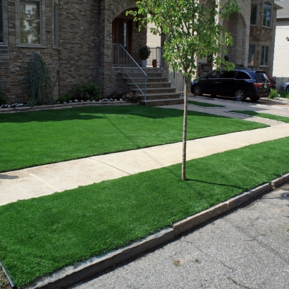 Fake Grass Fillmore, California Gardeners, Front Yard Landscape Ideas