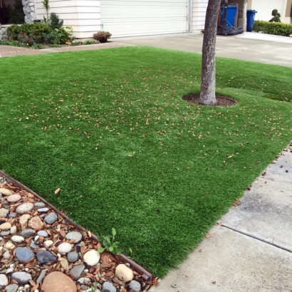 Fake Grass Idyllwild-Pine Cove, California Garden Ideas, Front Yard