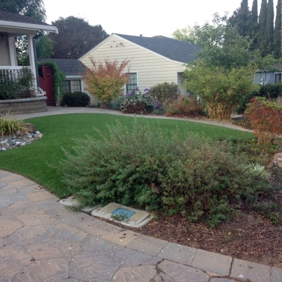 Fake Grass Malibu, California Backyard Playground, Landscaping Ideas For Front Yard