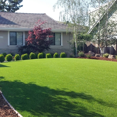 Fake Grass Montclair, California Landscape Photos, Front Yard Landscape Ideas