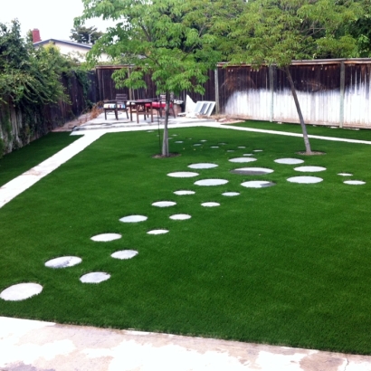 Fake Grass North Glendale, California Landscaping, Small Backyard Ideas