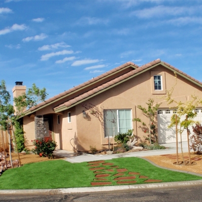 Fake Grass Paramount, California Rooftop, Front Yard Landscaping Ideas