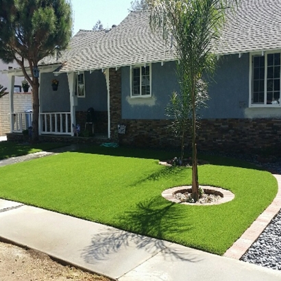 Fake Grass Westmont, California Lawn And Landscape, Front Yard Ideas