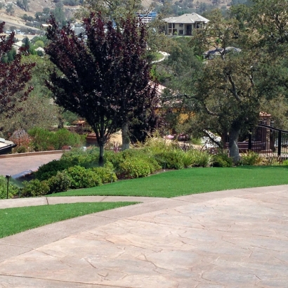 Fake Grass Yorba Linda, California Backyard Playground, Small Front Yard Landscaping