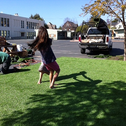 Fake Lawn Nuevo, California Lawn And Landscape, Commercial Landscape