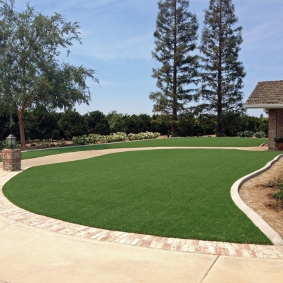 Fake Turf Carson, California Gardeners, Front Yard Landscape Ideas