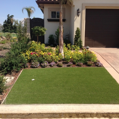 Fake Turf Del Mar, California Rooftop, Front Yard Ideas