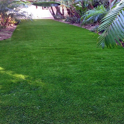 Fake Turf Mira Monte, California Landscaping, Backyard Landscape Ideas