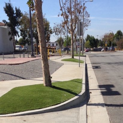 Fake Turf Perris, California Landscape Ideas, Commercial Landscape