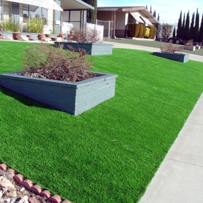 Fake Turf Seal Beach, California Lawn And Garden, Front Yard Landscaping