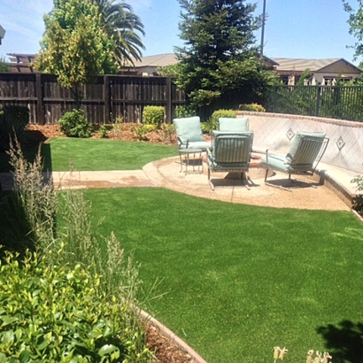 Fake Turf Thousand Oaks, California Landscape Ideas, Backyard Landscape Ideas