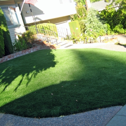 Faux Grass Lake Forest, California Landscaping Business, Front Yard Landscaping Ideas