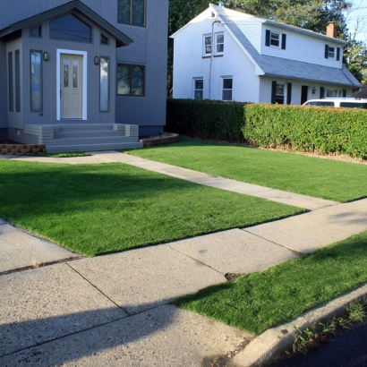 Faux Grass Solana Beach, California Lawns, Front Yard Landscape Ideas