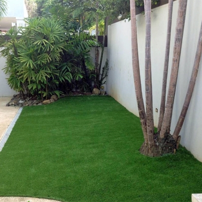 Faux Grass Whittier, California Home And Garden, Backyard Ideas