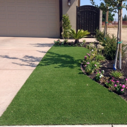 Grass Carpet Rancho Santa Fe, California City Landscape, Front Yard Landscaping Ideas