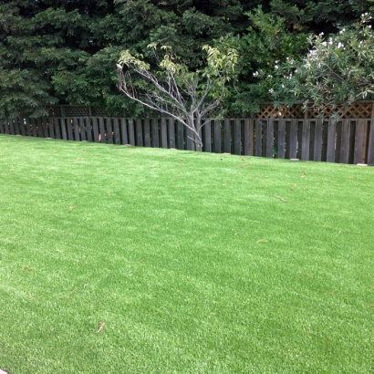 Grass Installation West Covina, California Landscape Ideas, Backyards