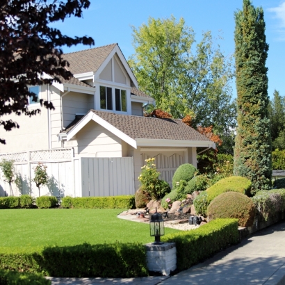 Grass Turf Anaheim, California Backyard Playground, Front Yard Landscaping