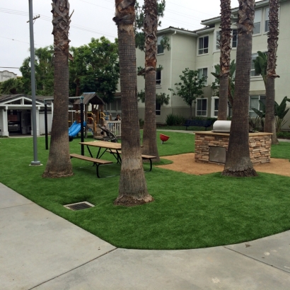 Grass Turf Rowland Heights, California Roof Top, Commercial Landscape