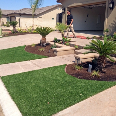 Grass Turf Sherman Oaks, California Lawns, Front Yard Landscaping Ideas