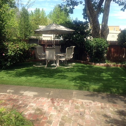 Green Lawn Agua Dulce, California Design Ideas, Backyard Designs