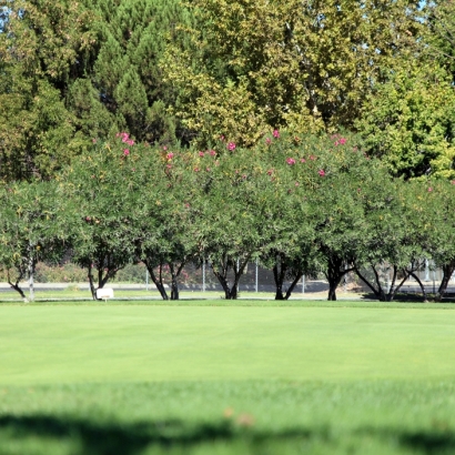 Green Lawn Lennox, California Lawn And Landscape