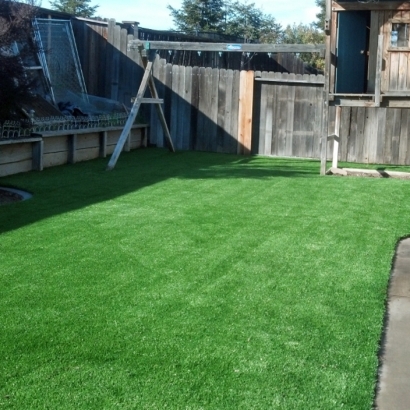 Installing Artificial Grass Redondo Beach, California Landscape Photos, Backyard Design