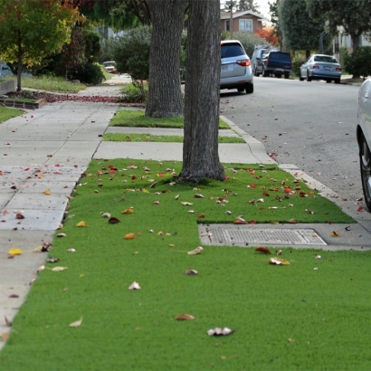 Outdoor Carpet East Hemet, California Lawn And Landscape, Front Yard Landscaping