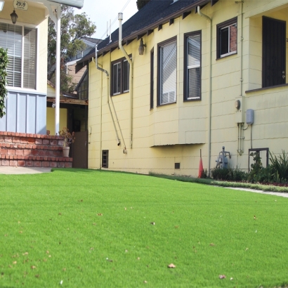 Outdoor Carpet Rosamond, California Gardeners, Front Yard Landscaping Ideas