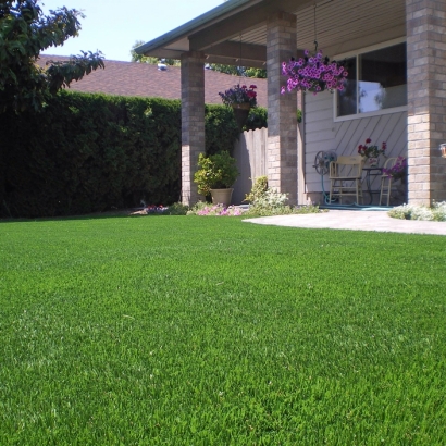 Plastic Grass Camarillo, California Gardeners, Front Yard Landscaping Ideas