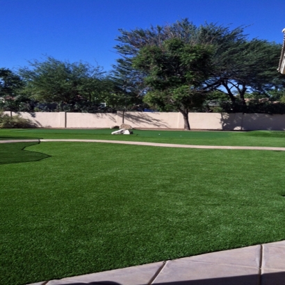 Plastic Grass Charter Oak, California Landscaping, Front Yard Ideas